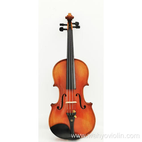 Selected Europe wood Advanced Violin